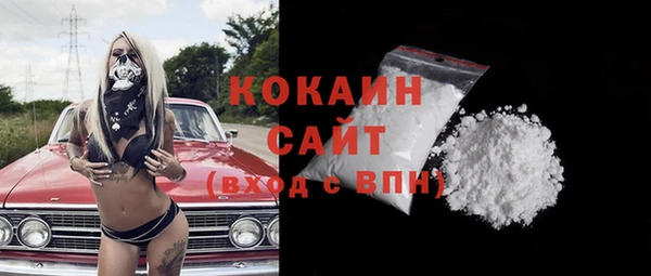 сатива Беломорск