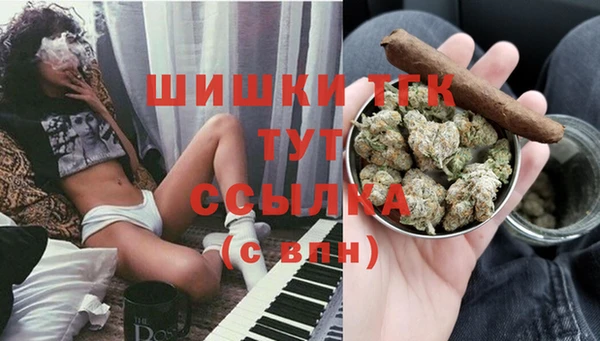сатива Беломорск