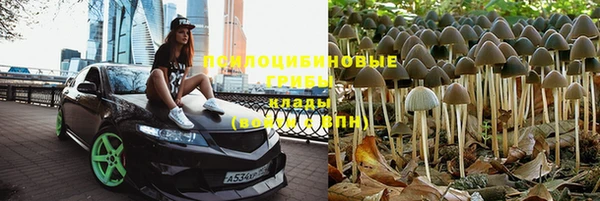 мдма Богданович